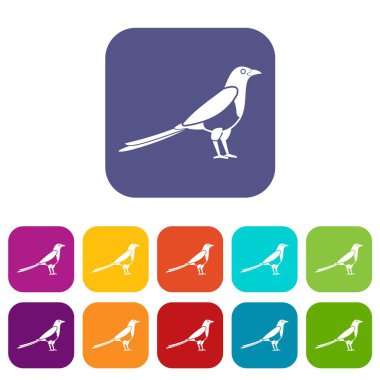 Kuş magpie Icons set