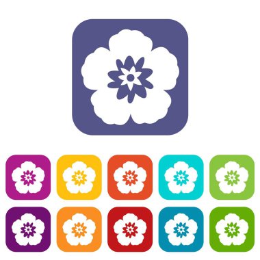 Rose of Sharon, Kore çiçek Icons set