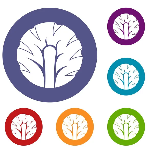 Taze brokoli Icons set dilim