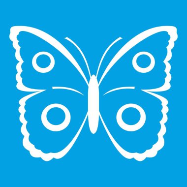 Kelebek tavus kuşu göz simgesini beyaz