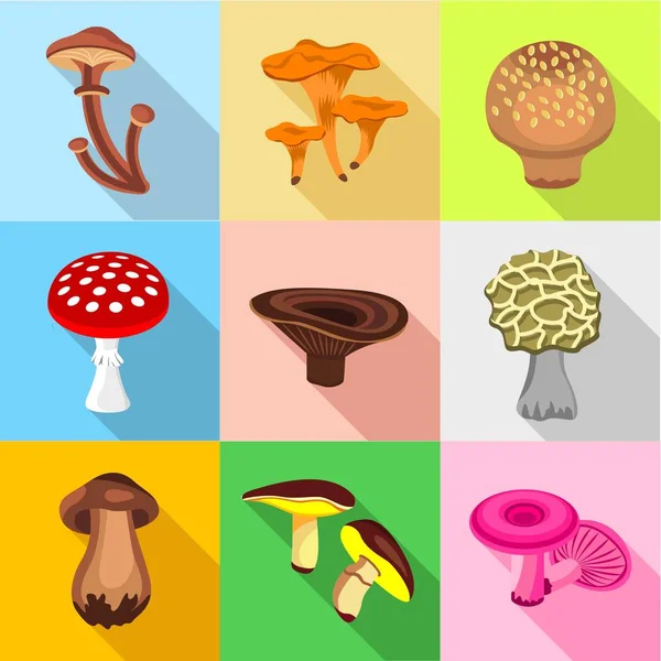 Tipos de conjunto de ícones de cogumelos, estilo plano — Vetor de Stock