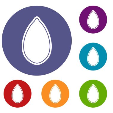 Kabak çekirdeği Icons set