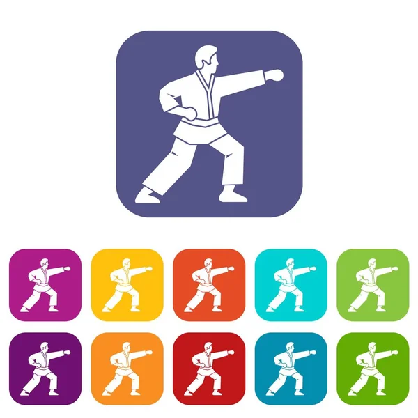 Aikido savaşçı Icons set — Stok Vektör
