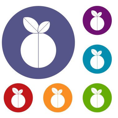 Yuvarlak elma Icons set