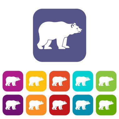 Ayı Icons set