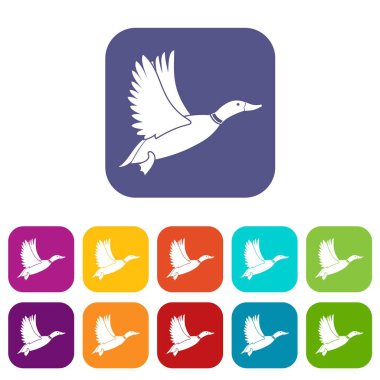 Ördek Icons set