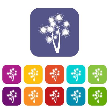 Dikenli palm Icons set