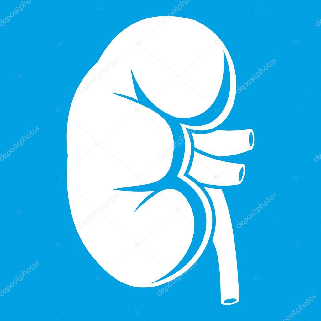 Kidney icon white isolated on blue background vector illustration