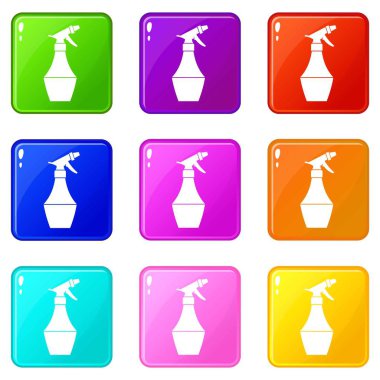 Sprey şişe çiçek için 9 ayarla