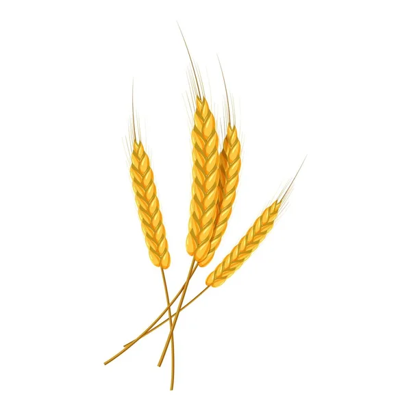 Four wheat ears icon, cartoon style — Stock Vector