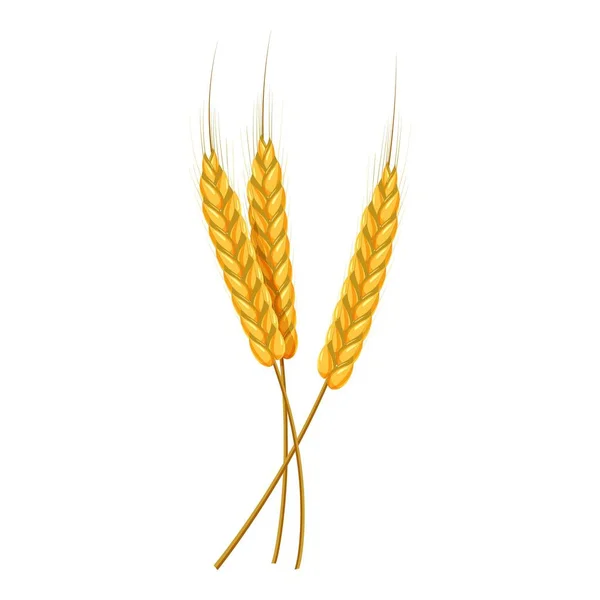 Three ears of wheat icon, cartoon style — Stock Vector