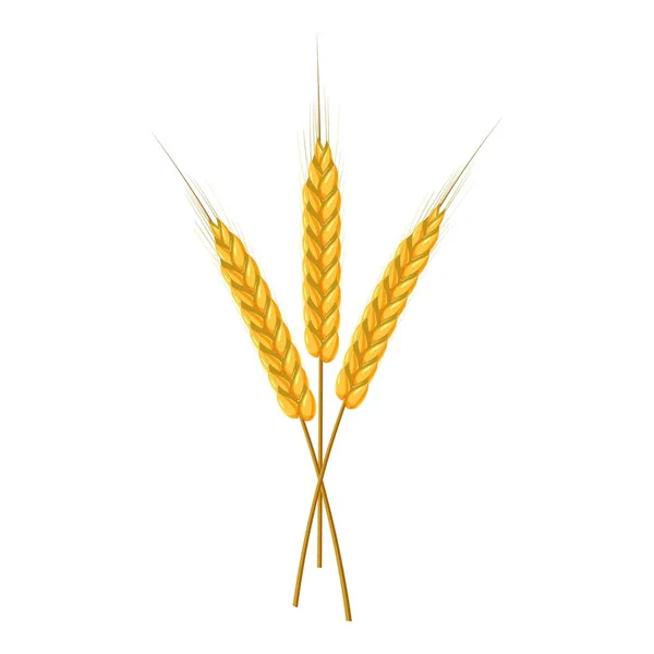 Three ripe ears wheat icon, cartoon style — Stock Vector