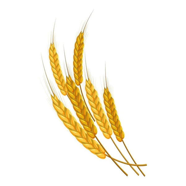 Altın olgun buğday kulakları simgesi, karikatür tarzı — Stok Vektör