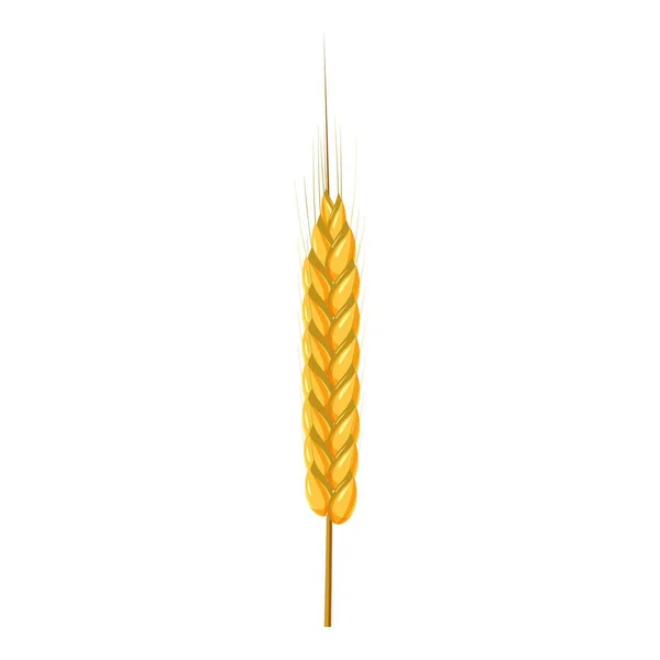 Droge tarwe spikelet pictogram, cartoon stijl — Stockvector