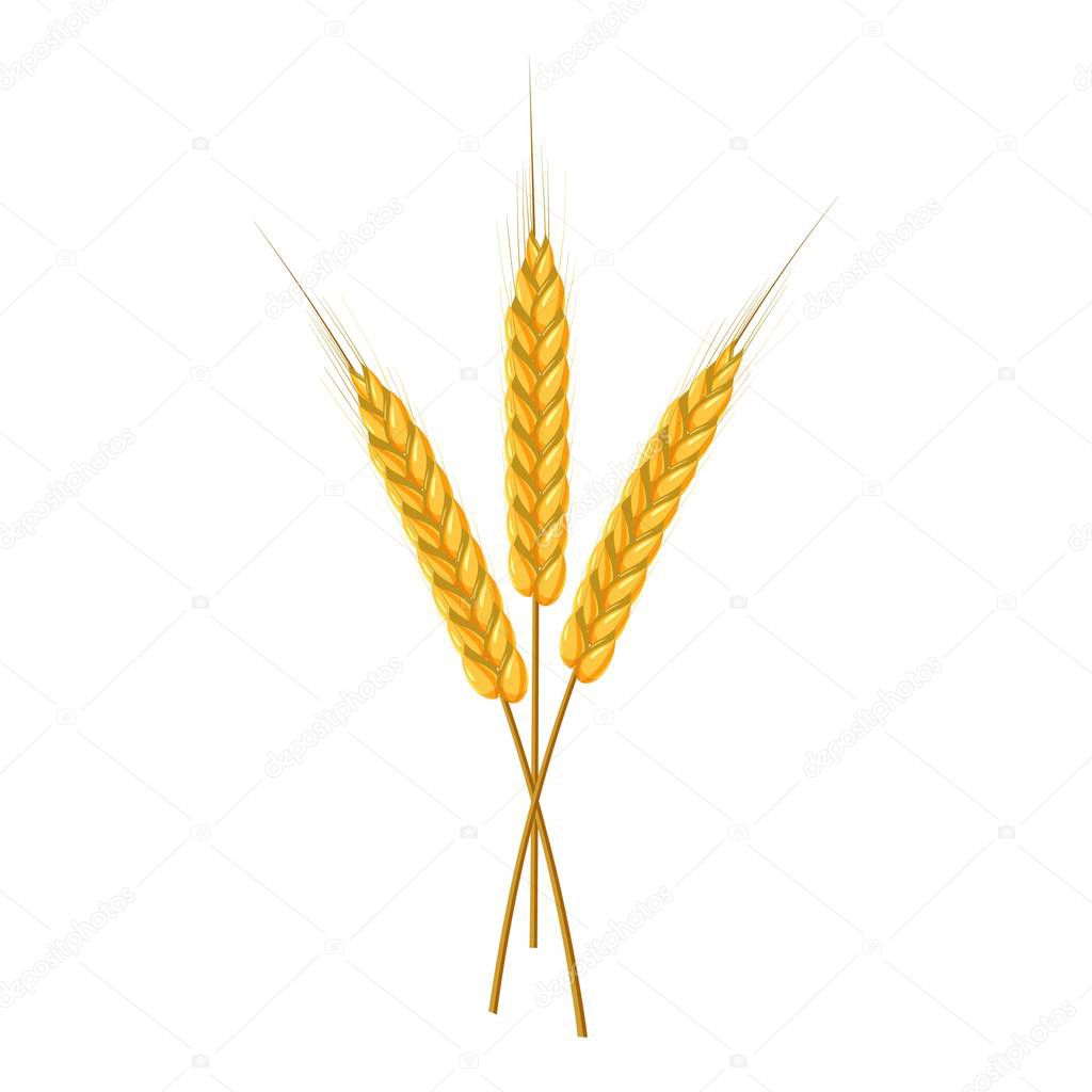 Three ripe ears wheat icon, cartoon style