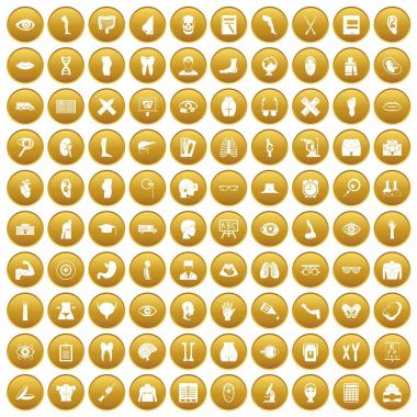 Altın 100 anatomi Icons set