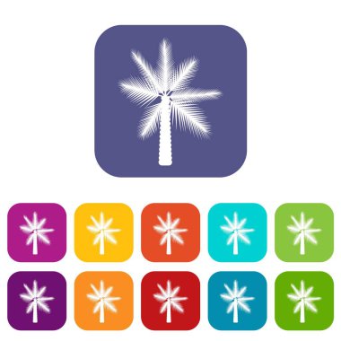 Büyük palmiye ağacı Icons set
