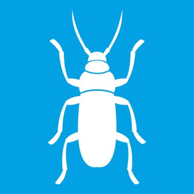 Böceği böcek simgesini beyaz
