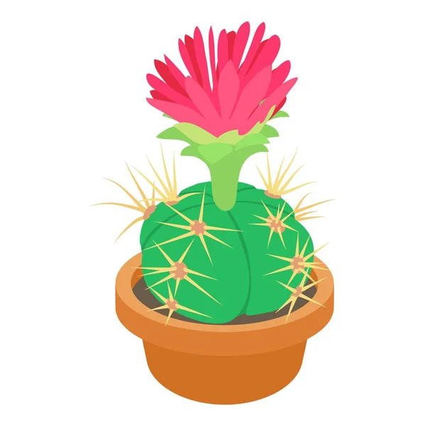 Cactus Deserto Planta Flor Flora Cactos De Desenhos Animados Suculentos.  Planta De Cactos Espinhoso Espinhoso Espinhoso. Deserto Mexicano Tropical  Cacto Verão Jardim Planta. Houseplant Vetor Exótico Cacto Verde Flor  Deserto. Royalty Free