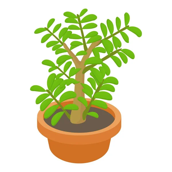 Crassula ícone de planta suculenta, estilo cartoon — Vetor de Stock