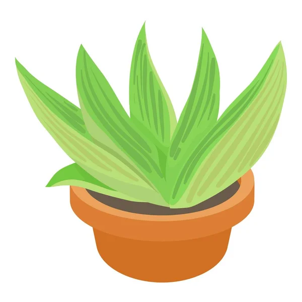 Agave-Ikone, Cartoon-Stil — Stockvektor