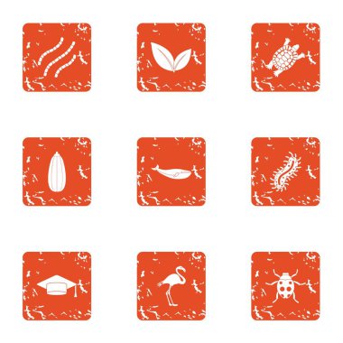 Biyolojik simgeler kümesi, grunge tarzı