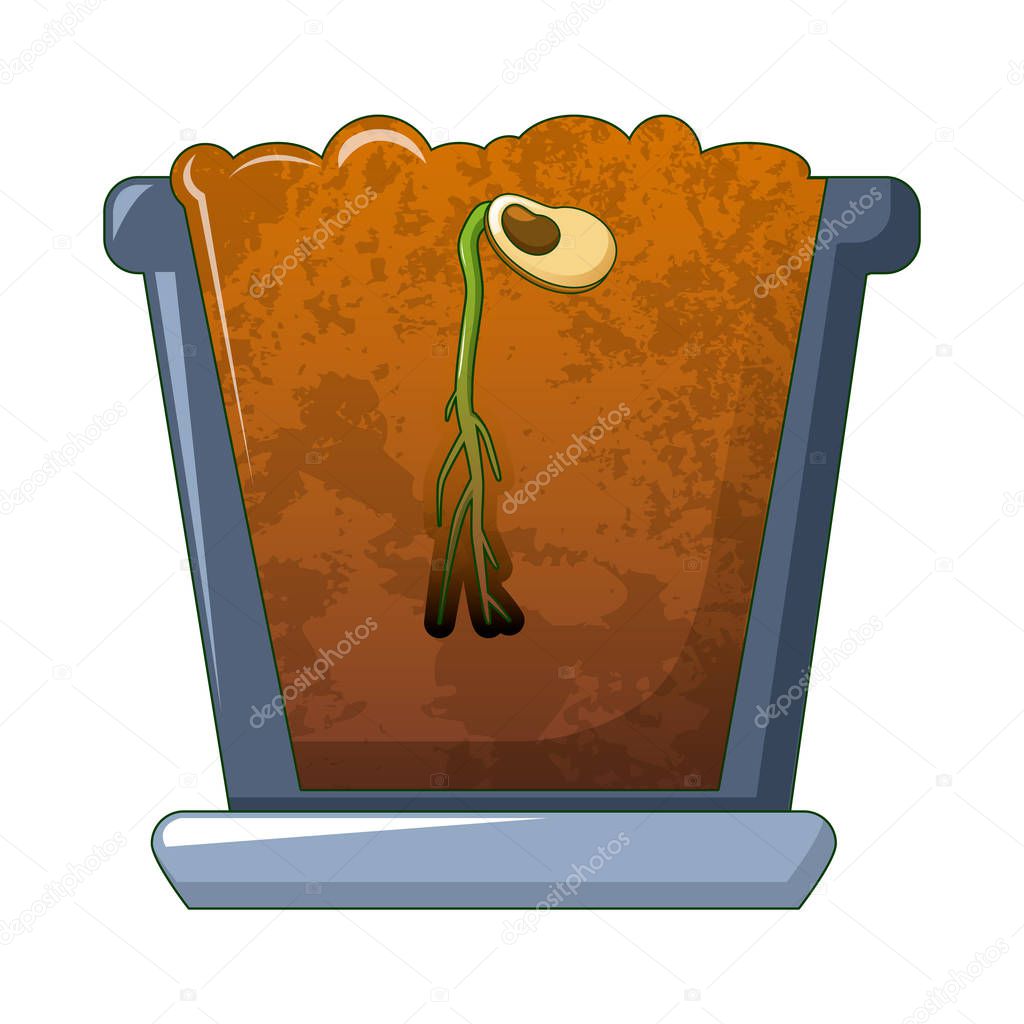 Bean germinated icon, cartoon style