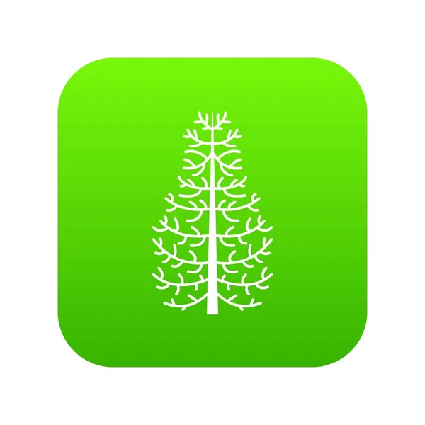 Fir tree pictogram groen vector — Stockvector