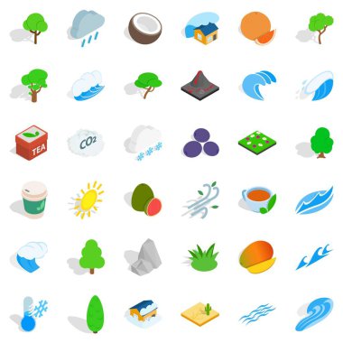 Büyük ağaç Icons set, izometrik stili