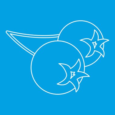 Chokeberry simgesi, anahat stili