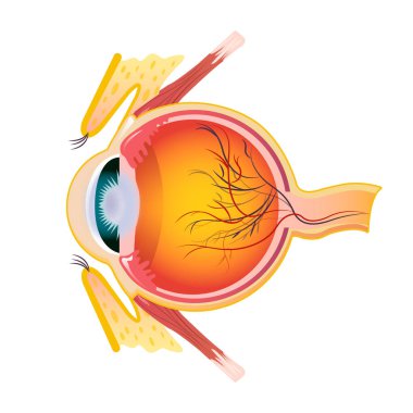 Çapraz simge göz, tarzı çizgi film