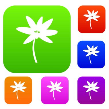 Tropikal palmiye ağacı koleksiyonu ayarla