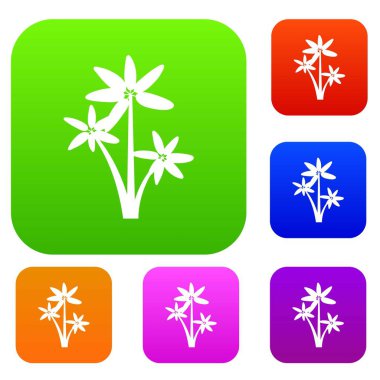 Palmiye ağacı koleksiyonu ayarla