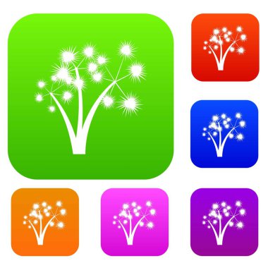 Üç dikenli palmiye ağaçları koleksiyonu ayarla