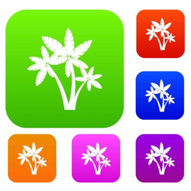 Üç palmiye ağaçları koleksiyonu ayarla