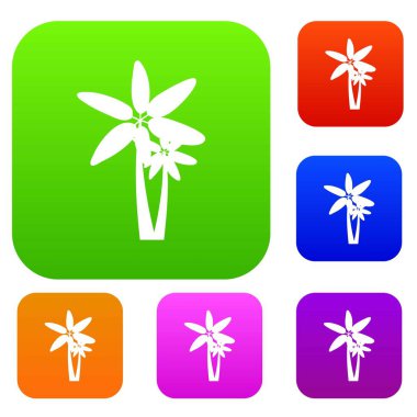 İki palmiye ağaçları koleksiyonu ayarla