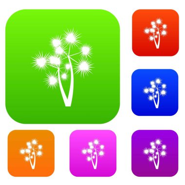 Dikenli palm koleksiyonu ayarla