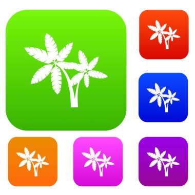 Palma koleksiyonu ayarla