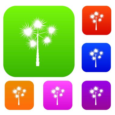 Palm chamaerops set koleksiyonu