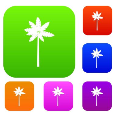 Palm odunsu bitki set koleksiyonu