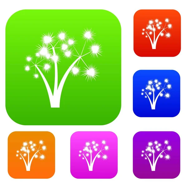 Üç dikenli palmiye ağaçları koleksiyonu ayarla