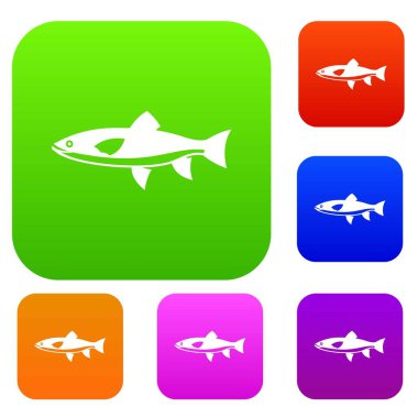 Balık koleksiyonu ayarla