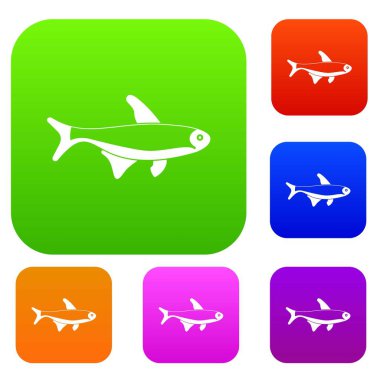 Balık koleksiyonu ayarla