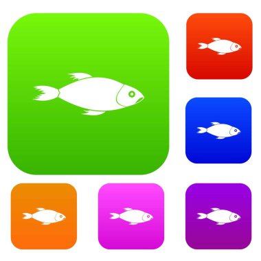 Balık koleksiyonu ayarla