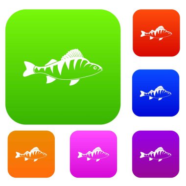 Balık koleksiyonu ayarla