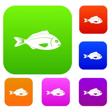 Balık koleksiyonu ayarla