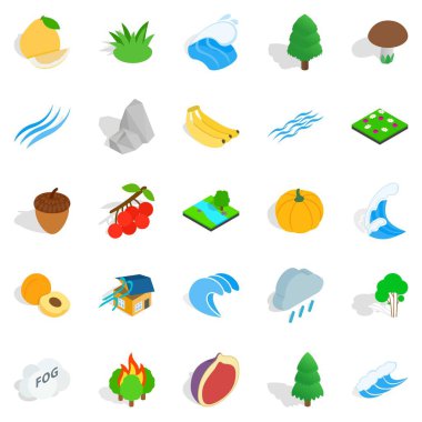 Tahıl Icons set, izometrik stili