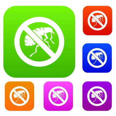 Gravür böcek koleksiyonu ayarla