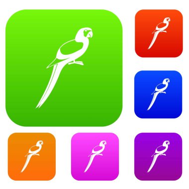 Papağan koleksiyonu ayarla