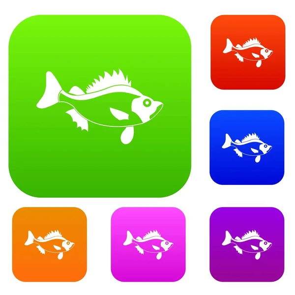 Fish set collection — Stock Vector